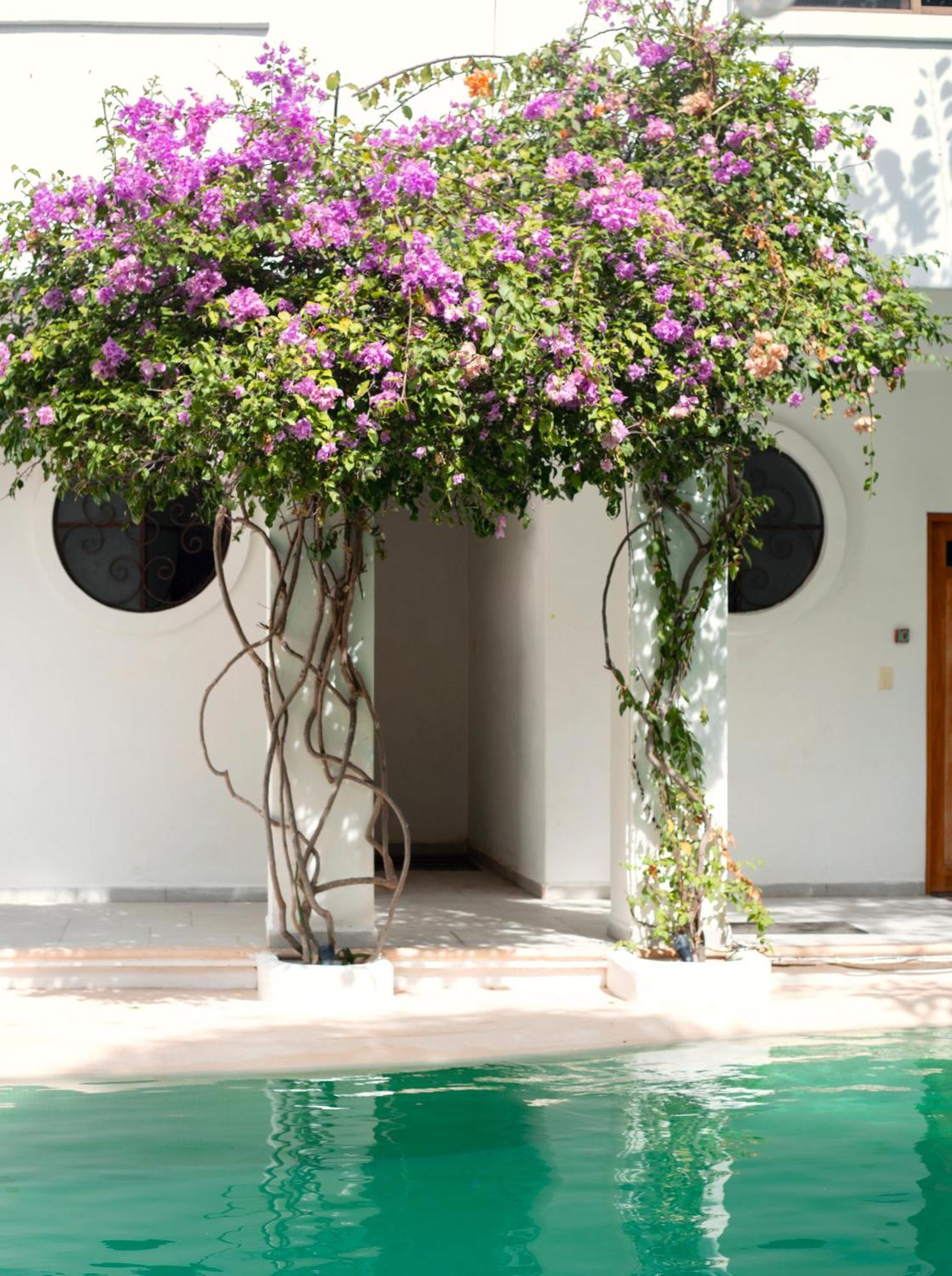 Sonido Del Mar Hotel Boutique & Yoga Loft Tulum Bagian luar foto